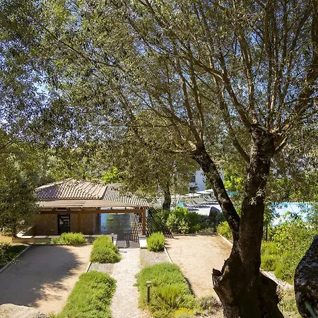 Eluard 04 - Domaine D'arca - Porto-vecchio - Rez De Jardin - 4 A 6 Pers * Porto-Vecchio (Corsica)